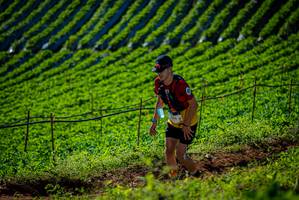 BIB: 
                            <button type="button" onclick="openModal(19160822)" class="btn btn-primary btn-sm float-right btn-popup" data-toggle="modal" data-target=".modal-high-quality">
                        <i class="fas fa-shopping-cart"></i> Add to Cart
                    </button>
                                            <button type="button" onclick="isThisMe(19160822, true)" class="btn btn-success btn-sm float-right btn-popup btn-isme hidden" data-toggle="tooltip" data-placement="bottom" title="นี่คือรูปของคุณใช่ไหม คลิกที่นี่เพื่อเอาเข้าอัลบั้ม">
                        <i class="fas fa-plus"></i> Add to album
                    </button>
                    <button type="button" onclick="isThisMe(19160822, false)" class="btn btn-warning btn-sm float-right btn-popup btn-isnotme hidden">
                        <i class="fas fa-ban"></i> Remove from album
                    </button>